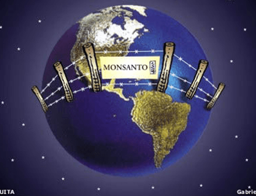 A Petition Against Monsanto-Syngenta Merger