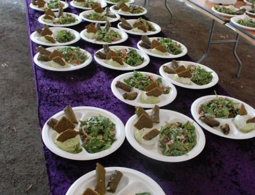 Vegan Catering #6
