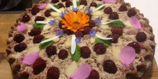 Vegan cakes