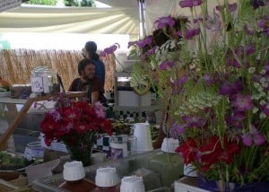 California Festival organic food
