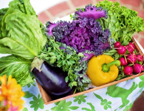 Now’s a great time to start a garden!
